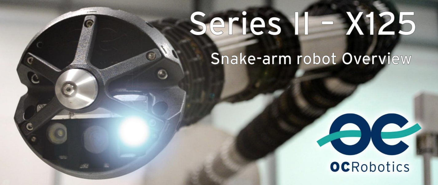 Snake Arm Robot