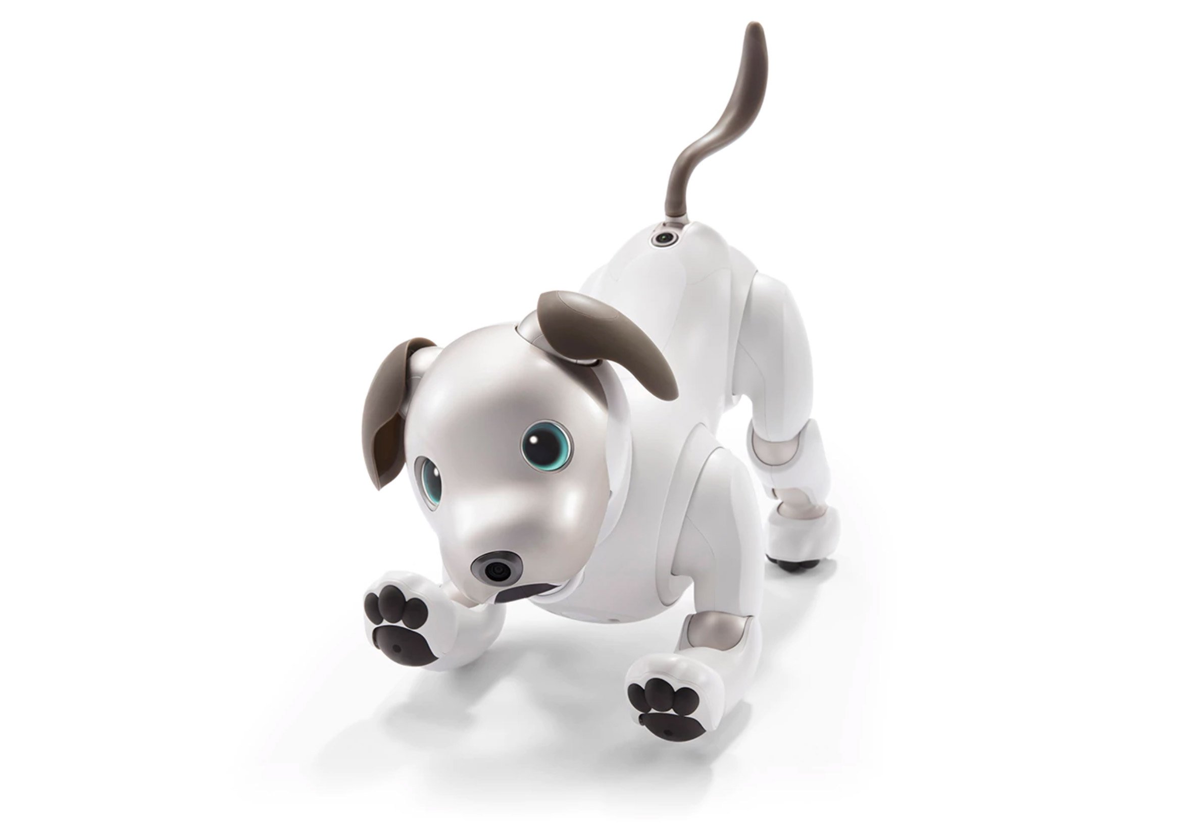 Aibo