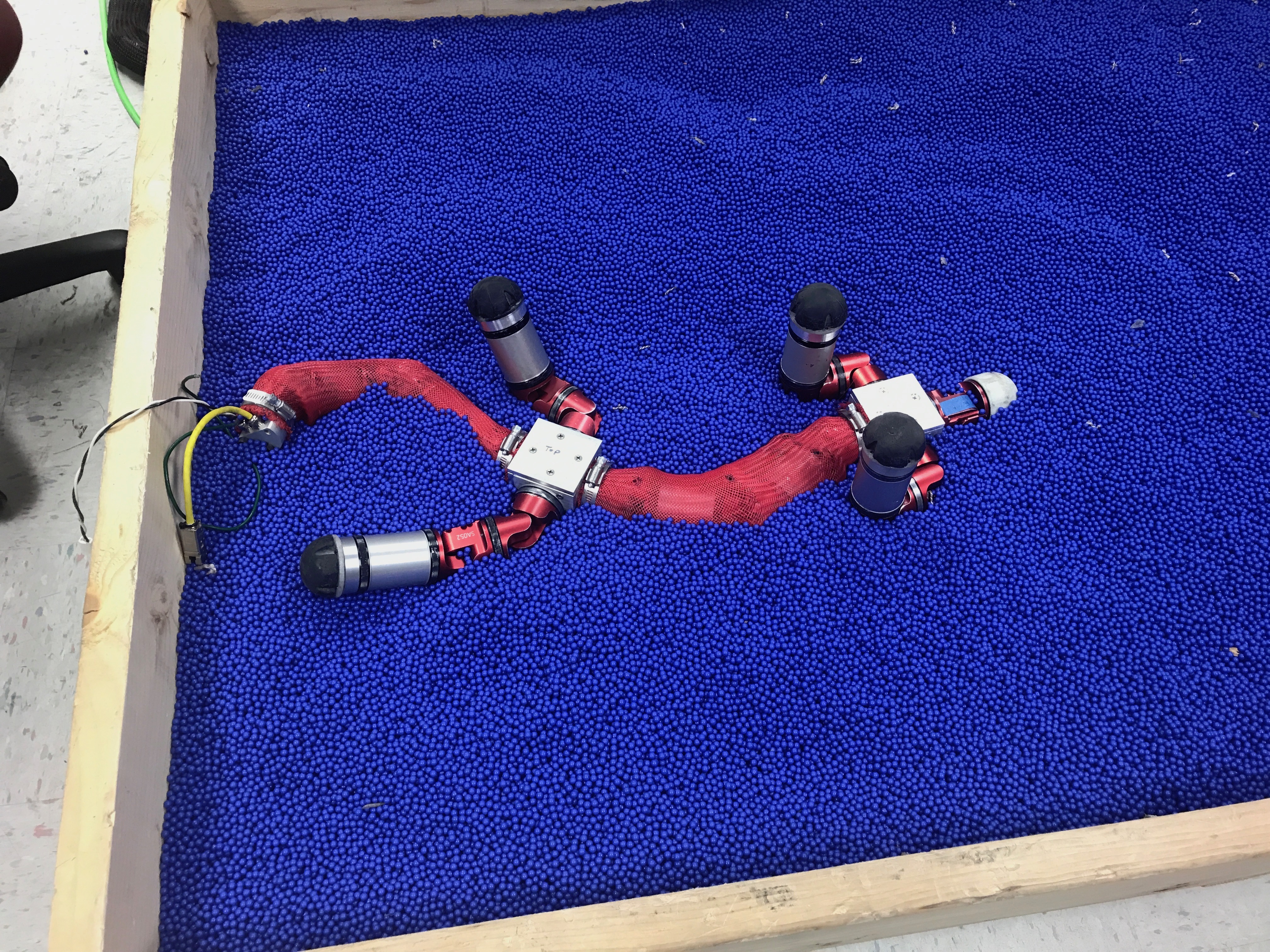 SEA-Snake